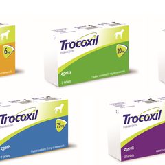 Трококсил / Trocoxil 30 мг 2 таблетки
