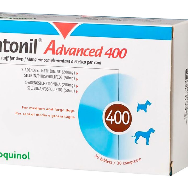 Зентонил / Zentonil 400 мг для собак средних, крупных пород, 30 таблеток