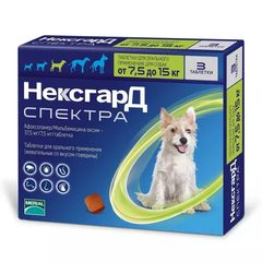 Глисты, блохи, клещи
