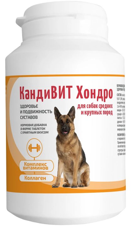 КандиВИТ Хондро, 50 таб/упак, точная упаковка